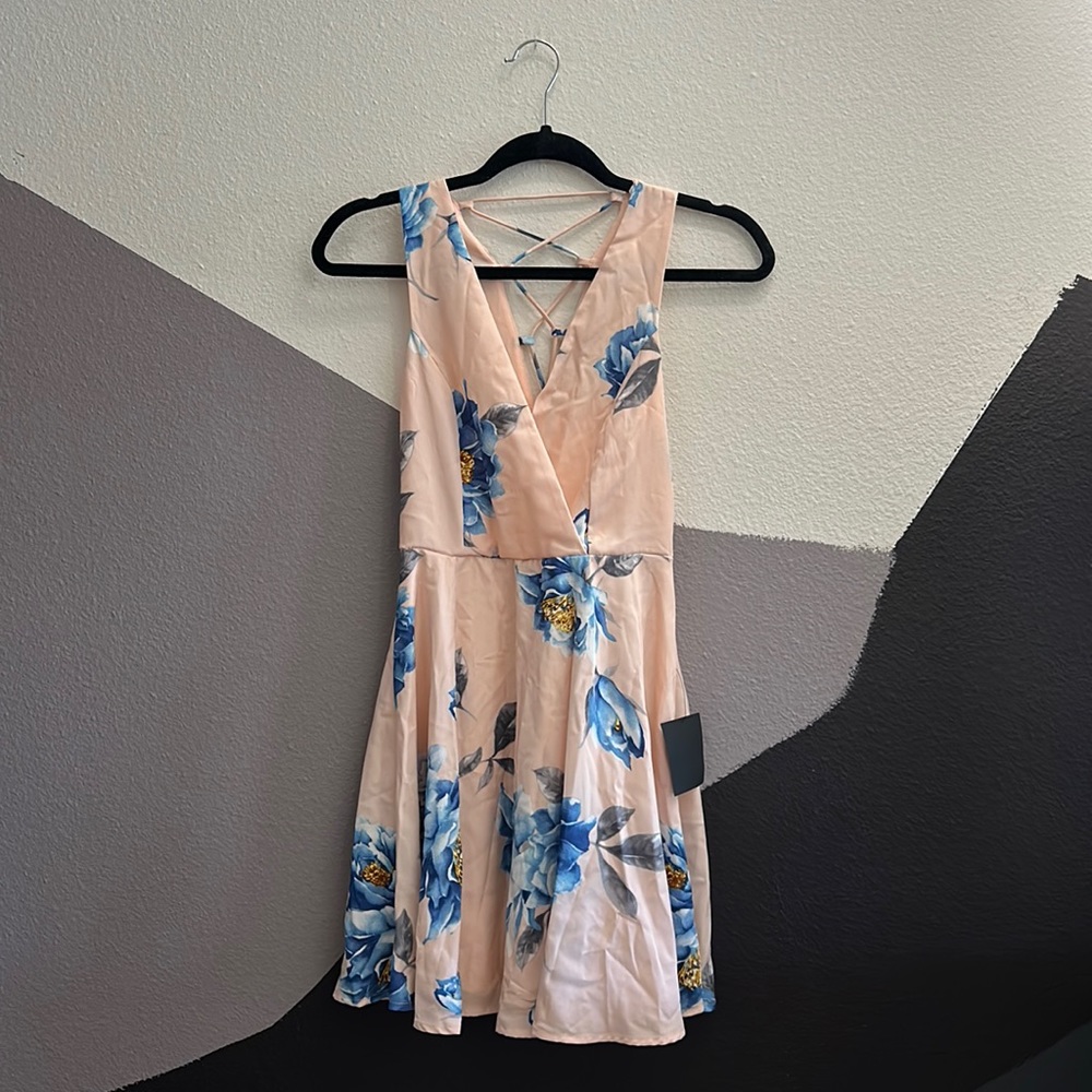 Garden Walk Blush Pink Floral Print Lace-Up Skater Dress